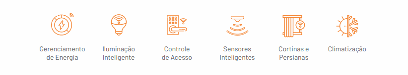 icon features